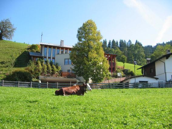 Studio 21A Hopfgarten im Brixental Εξωτερικό φωτογραφία